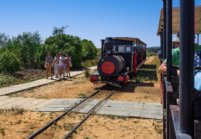 Casa adosada en Tavira - TAVIRA SUITES LIMOEIRO, Town Centre Casa adosada en Tavira - TAVIRA SUITES LIMOEIRO, Town Centre