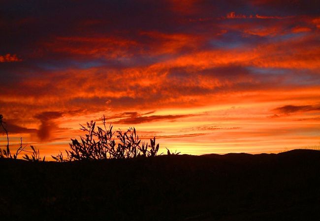 Villa en Santa Catarina Fonte Bispo - VILLA LARANJEIRA, Santa Catarina Villa en Santa Catarina Fonte Bispo - VILLA LARANJEIRA, Santa Catarina