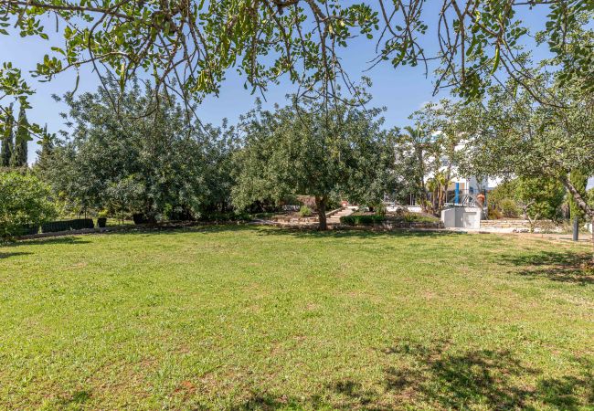 Villa en Tavira - VILLA DOMI, Quinta do Perogil Villa en Tavira - VILLA DOMI, Quinta do Perogil
