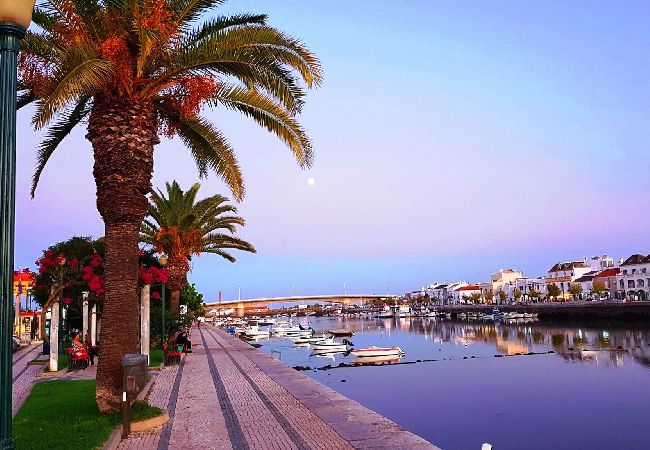 Casa adosada en Tavira - CASA ALFAZEMA, Quinta do Perogil Casa adosada en Tavira - CASA ALFAZEMA, Quinta do Perogil