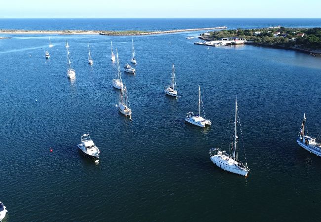 Casa adosada en Tavira - CASA ALFAZEMA, Quinta do Perogil Casa adosada en Tavira - CASA ALFAZEMA, Quinta do Perogil