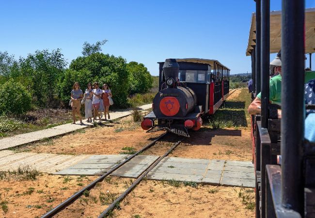 Apartamento en Santa Luzia - APAPARTMENT LUZIA, Santa Luzia Fishing Village Apartamento en Santa Luzia - APAPARTMENT LUZIA, Santa Luzia Fishing Village