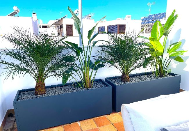 Villa en Tavira - CASA FRANGIPANI, Quinta da Foz Villa en Tavira - CASA FRANGIPANI, Quinta da Foz