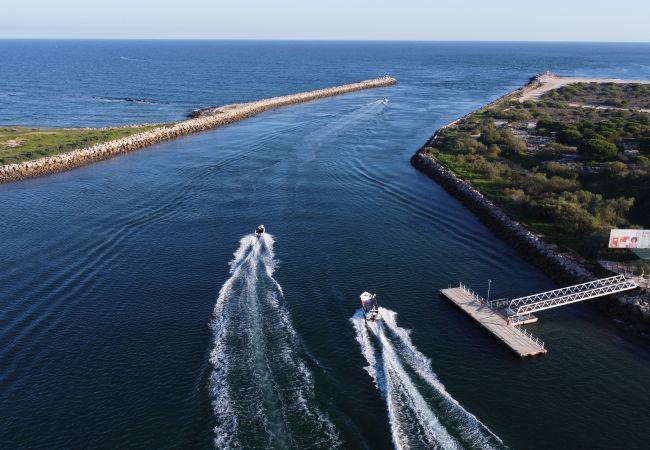 Apartamento en Tavira - PALM TREE APARTMENT, Town Centre Apartamento en Tavira - PALM TREE APARTMENT, Town Centre