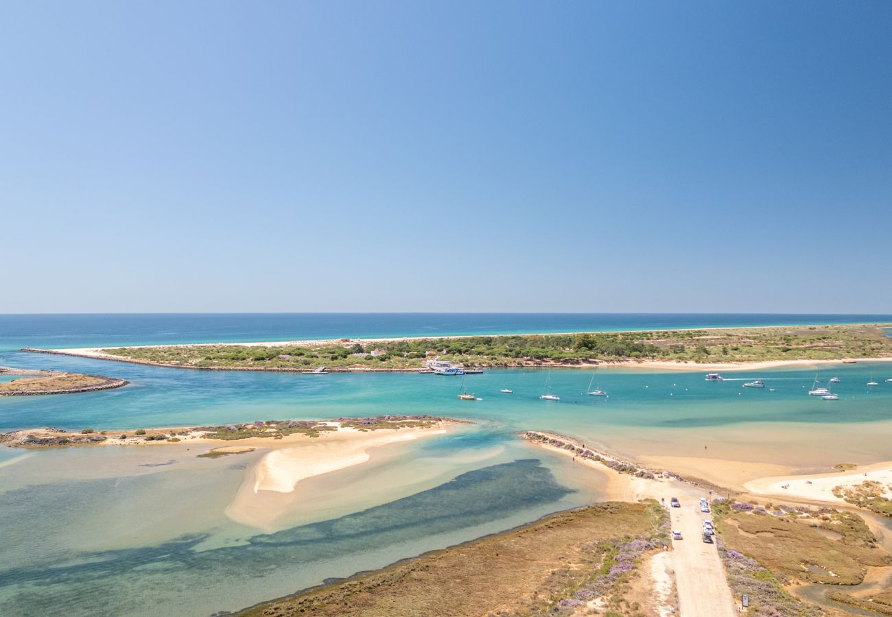 Apartamento en Tavira - PALM TREE APARTMENT, Town Centre