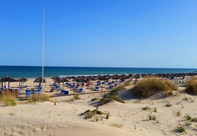 Apartamento en Cabanas de tavira - APARTMENT BRIGITTE, Costa da Cabanas Apartamento en Cabanas de tavira - APARTMENT BRIGITTE, Costa da Cabanas