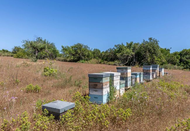 Villa en Cabanas de tavira - RIA ENDLESS SOUTH, Sítio da Fortaleza Villa en Cabanas de tavira - RIA ENDLESS SOUTH, Sítio da Fortaleza