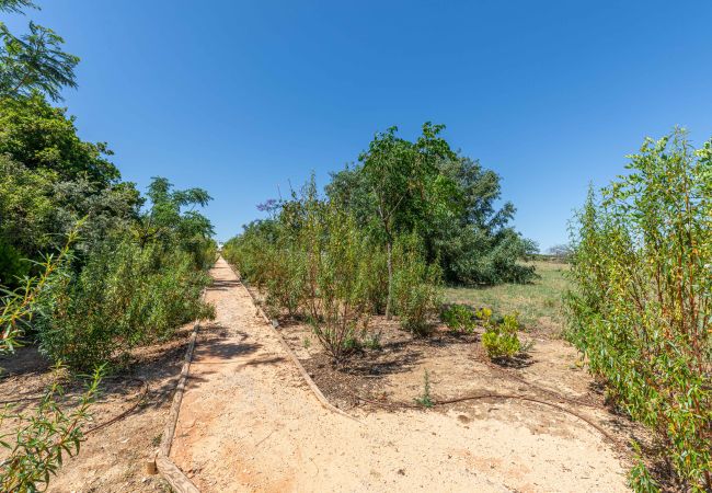 Villa en Cabanas de tavira - RIA ENDLESS SOUTH, Sítio da Fortaleza Villa en Cabanas de tavira - RIA ENDLESS SOUTH, Sítio da Fortaleza