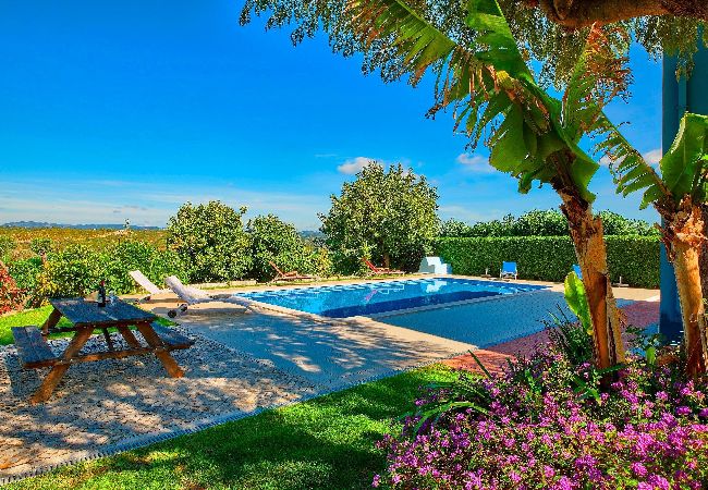 Villa à Tavira - VILLA VASA, Quinta do Perogil Villa à Tavira - VILLA VASA, Quinta do Perogil
