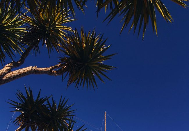 Villa à Tavira - THE WINDMILL, Estorninhos Villa à Tavira - THE WINDMILL, Estorninhos
