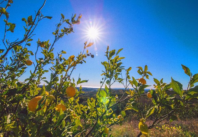 Villa à Tavira - THE WINDMILL, Estorninhos Villa à Tavira - THE WINDMILL, Estorninhos