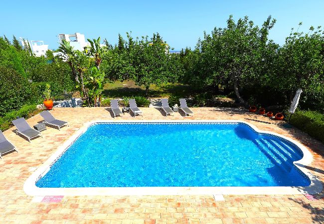 Villa à Tavira - VILLA DOMI, Quinta do Perogil Villa à Tavira - VILLA DOMI, Quinta do Perogil