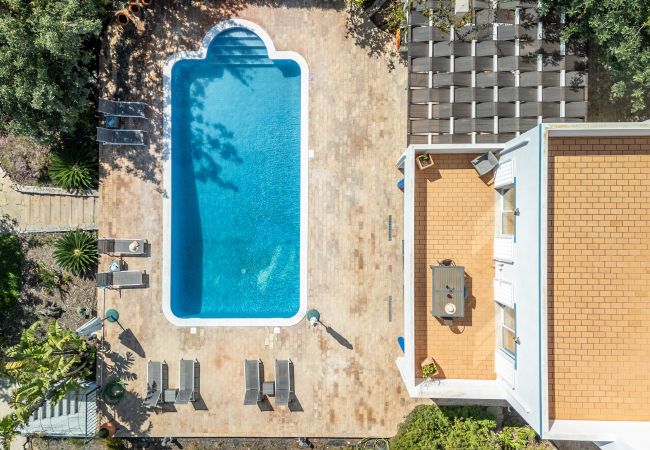 Villa à Tavira - VILLA DOMI, Quinta do Perogil Villa à Tavira - VILLA DOMI, Quinta do Perogil