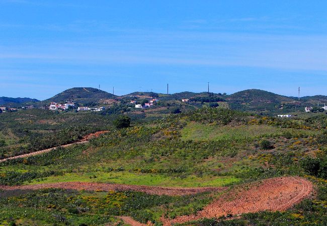 Villa à Tavira - LITTLE VINEYARD, Eiroes Villa à Tavira - LITTLE VINEYARD, Eiroes