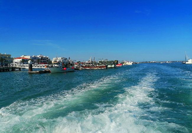 Appartement à Santa Luzia - APARTMENT ANDORINHA, Fishing Village Appartement à Santa Luzia - APARTMENT ANDORINHA, Fishing Village