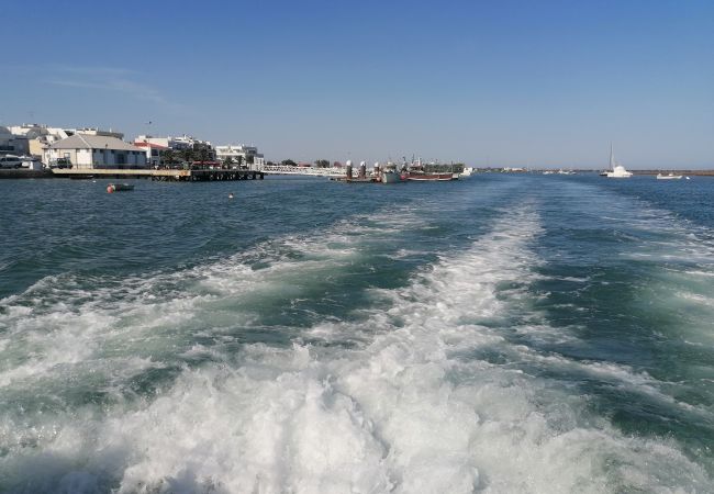 Villa à Santa Luzia - CASA TRES, Santa Luzia Fishing Village Villa à Santa Luzia - CASA TRES, Santa Luzia Fishing Village