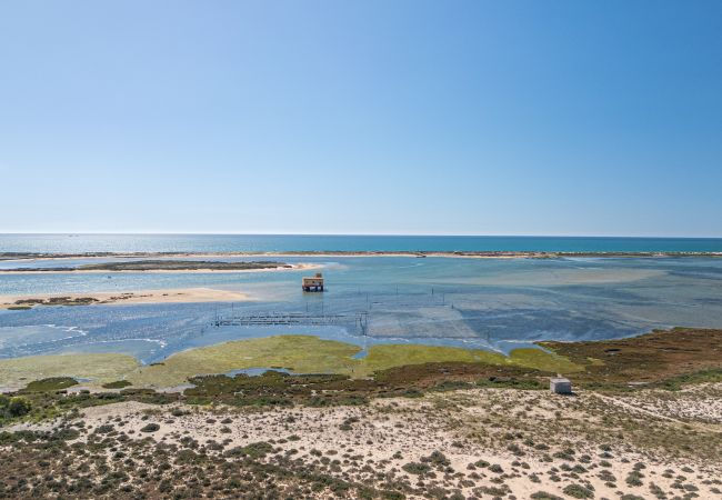 Appartement à Fuseta - APARTMENT CALMA, Formosa Village  Appartement à Fuseta - APARTMENT CALMA, Formosa Village