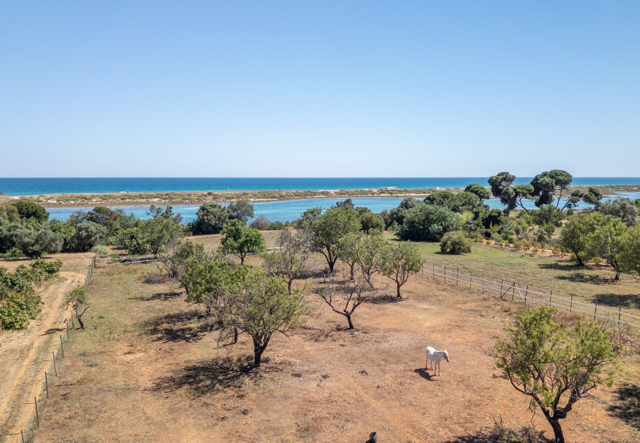 Villa à Cabanas de tavira - RIA ENDLESS SOUTH, Sítio da Fortaleza