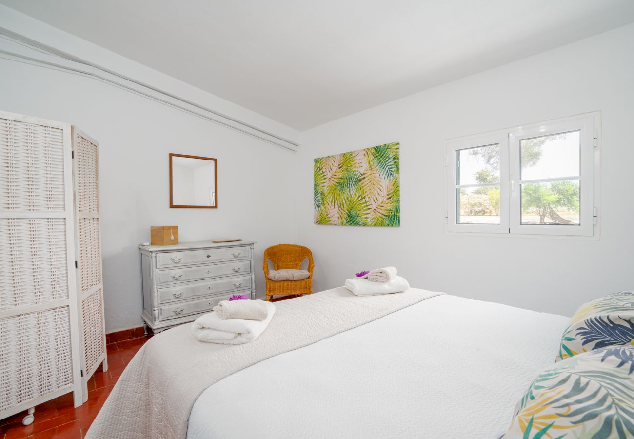 Gîte Rural à Tavira - CASA BUGANVILIA, Quinta Vale Caranguejo