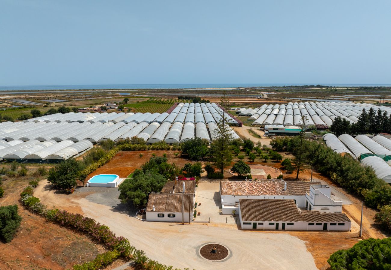 Gîte Rural à Tavira - CASA BUGANVILIA, Quinta Vale Caranguejo