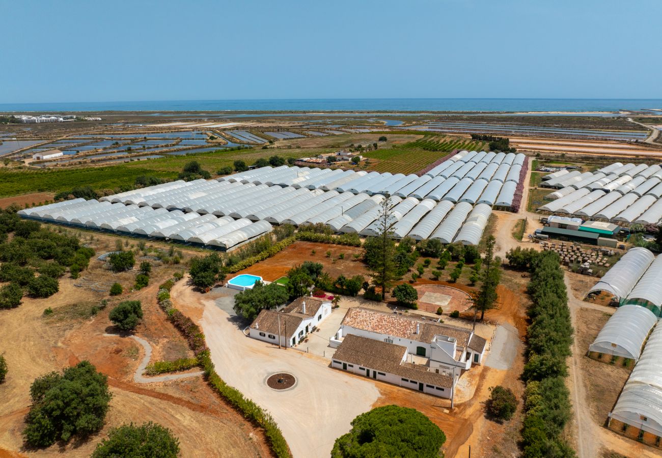 Gîte Rural à Tavira - CASA BUGANVILIA, Quinta Vale Caranguejo