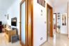 Apartamento em Tavira - APARTMENT SHANNON, Quinta de Pegada Apartamento em Tavira - APARTMENT SHANNON, Quinta de Pegada
