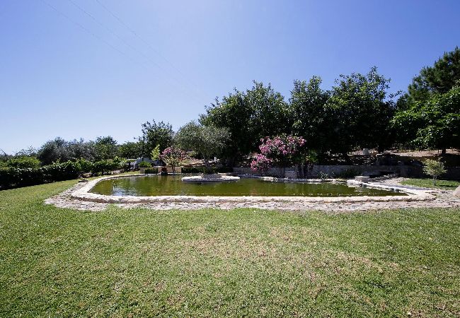 Villa em Tavira - QUINTA JULIÃO, Sitio do Julião Villa em Tavira - QUINTA JULIÃO, Sitio do Julião