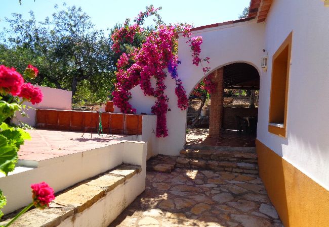 Villa em Tavira - QUINTA JULIÃO, Sitio do Julião Villa em Tavira - QUINTA JULIÃO, Sitio do Julião