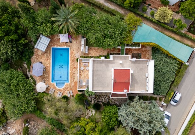 Villa em Tavira - VILLA JACARANDA, Quinta do Perogil Villa em Tavira - VILLA JACARANDA, Quinta do Perogil