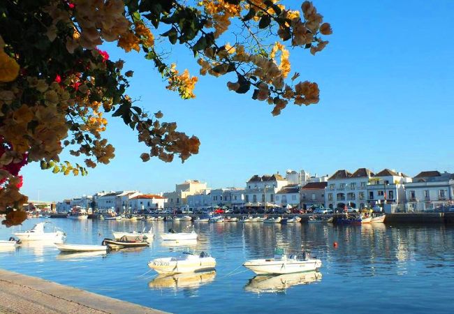 Apartamento em Tavira - PEROGIL SUITES: “GIRASSOL”, Quinta do Perogil Apartamento em Tavira - PEROGIL SUITES: “GIRASSOL”, Quinta do Perogil