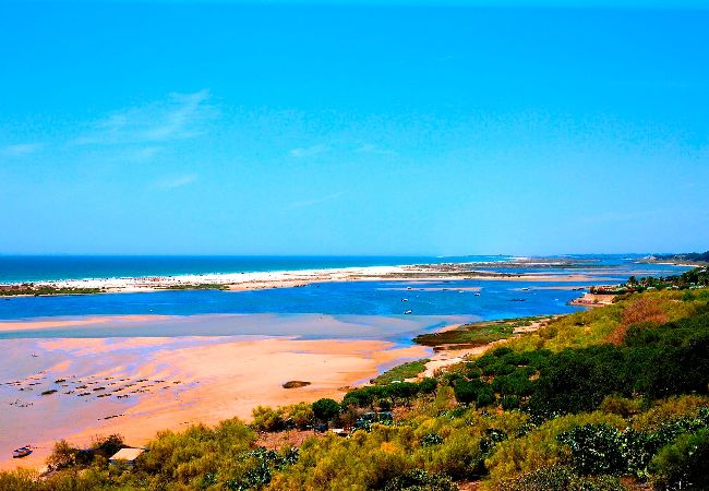 Villa em Tavira - CASA LUA AZUL, Serra da Zorra Villa em Tavira - CASA LUA AZUL, Serra da Zorra