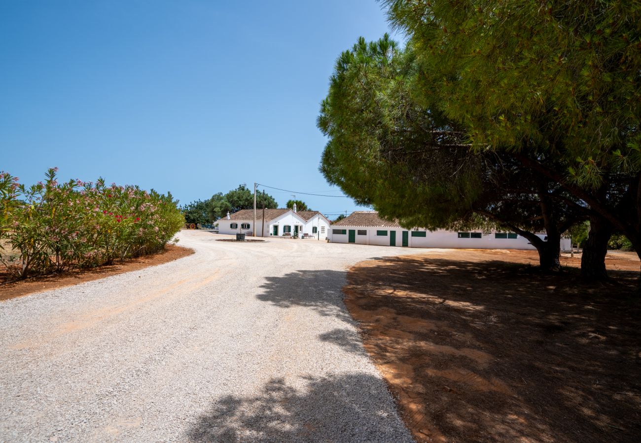Casa rural em Tavira - CASA BUGANVILIA, Quinta Vale Caranguejo