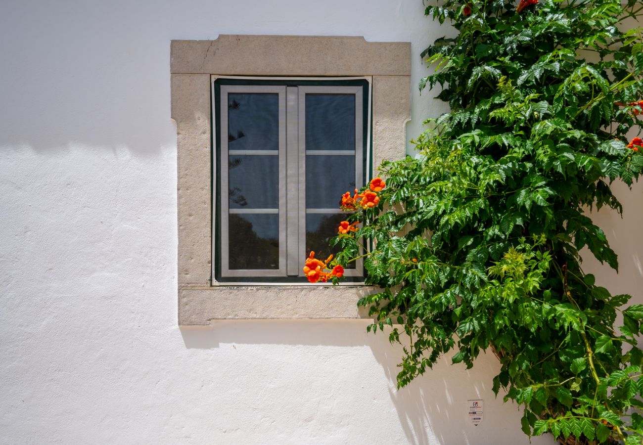 Casa rural em Tavira - CASA BUGANVILIA, Quinta Vale Caranguejo