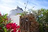 Villa in Tavira - THE WINDMILL, Estorninhos Villa in Tavira - THE WINDMILL, Estorninhos