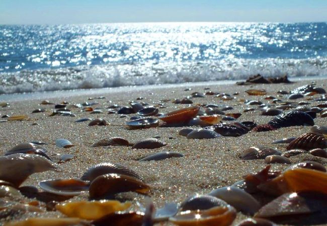 Apartment in Tavira - APARTMENT NINA, Town Centre Apartment in Tavira - APARTMENT NINA, Town Centre