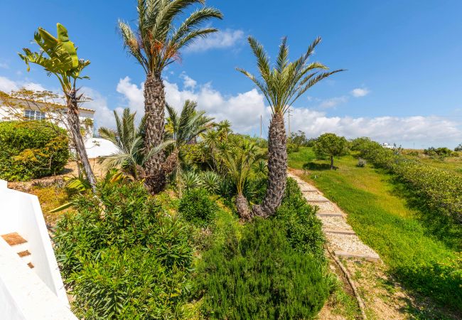 Villa in Tavira - CASA DOS BONS ARES, Eira da Palma Villa in Tavira - CASA DOS BONS ARES, Eira da Palma