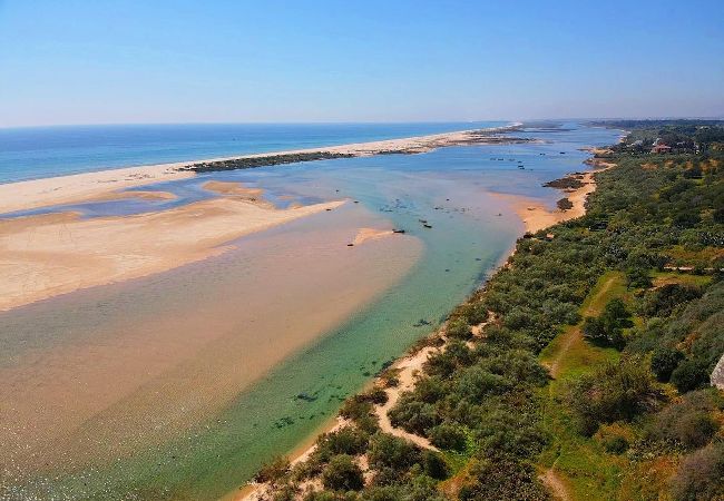 Apartment in Vila Nova de Cacela - CASA PEREIRA, Town Centre Apartment in Vila Nova de Cacela - CASA PEREIRA, Town Centre