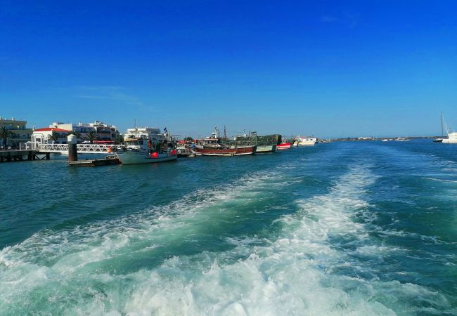 Villa in Santa Luzia - CASA BRANCA (B), Fishing Village  Villa in Santa Luzia - CASA BRANCA (B), Fishing Village