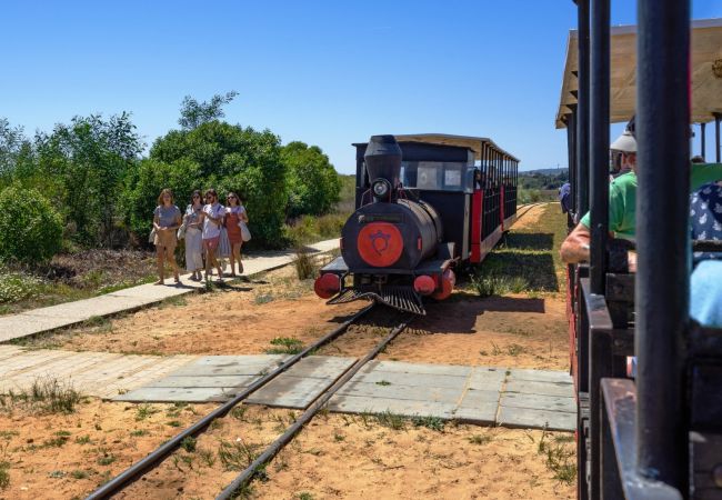 Villa in Santa Luzia -  CASA BRANCA (A), Fishing Village Villa in Santa Luzia -  CASA BRANCA (A), Fishing Village