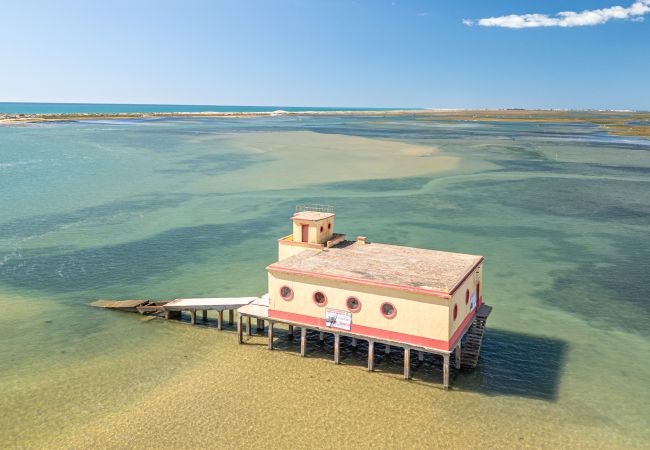 Apartment in Fuseta - APARTMENT BRISA DA RIA, Formosa Village Apartment in Fuseta - APARTMENT BRISA DA RIA, Formosa Village