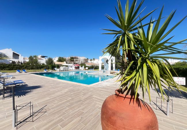 Studio in Cabanas de tavira - QUINTA VELHA OASIS, Pool Resort Studio in Cabanas de tavira - QUINTA VELHA OASIS, Pool Resort