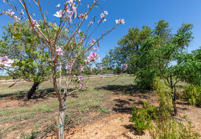 Villa in Cabanas de tavira - RIA ENDLESS SOUTH, Sítio da Fortaleza Villa in Cabanas de tavira - RIA ENDLESS SOUTH, Sítio da Fortaleza