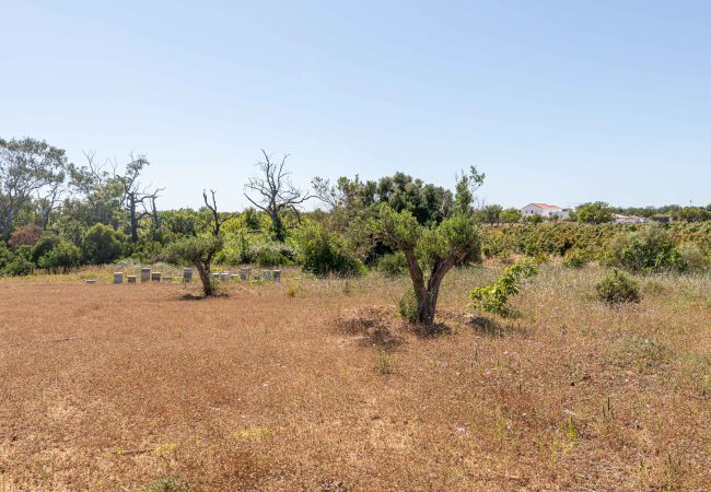 Villa in Cabanas de tavira - RIA ENDLESS SOUTH, Sítio da Fortaleza Villa in Cabanas de tavira - RIA ENDLESS SOUTH, Sítio da Fortaleza